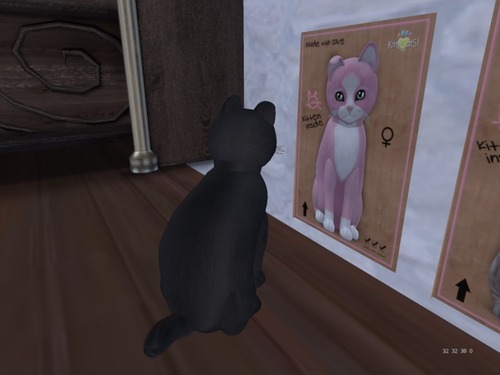 Web 56869062128cc92132000001