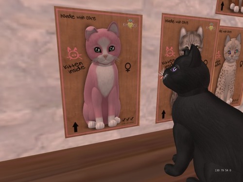 Web 568690899934e00793000001