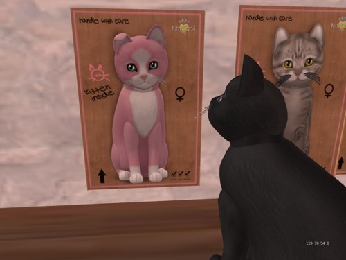 Web 5686918d128cc9296f000001