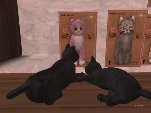 Web 568692173f942f4a36000001