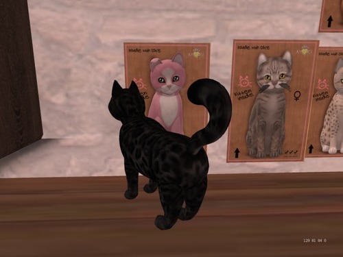 Web 568692de9934e0121c000001