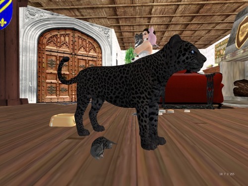 Web 568d1f9c128cc9160e000001