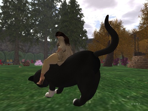 Web 56e03bc4b713f71a3d000001