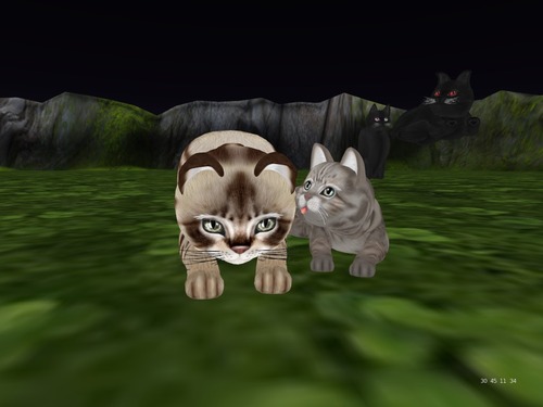 Web 57d31a53e85cda673b000001