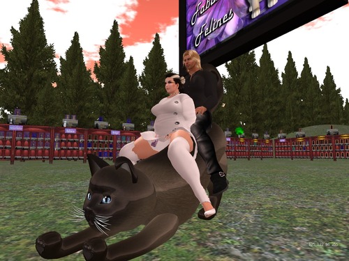 Web 57de181ef8a1ec0f51000001