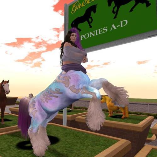 Web 5ed7cf3173ed17347a0b91b2