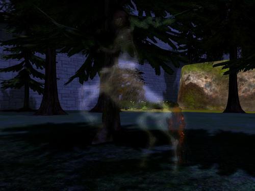 Web 5f8339b4d774f85bd20fa929