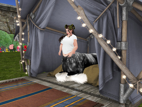 Web 664bb9d820ed660445c9928f