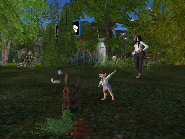 Original 5b41299ad774f878c6000001