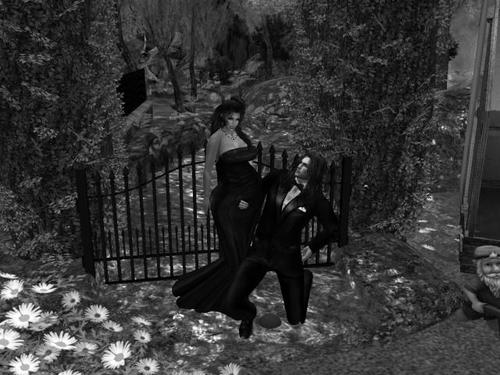 Web 5af77b29d774f8224c000001