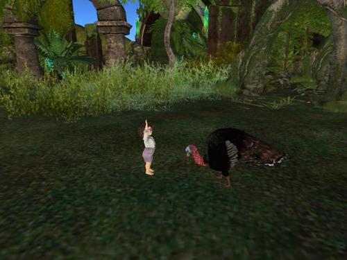 Web 5b41296573ed176029000001