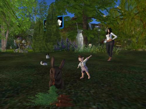 Web 5b41299ad774f878c6000001