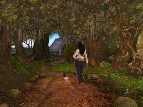 Web 5b412a1e73ed1763b8000001