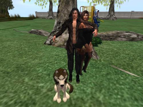 Web 5baac20bd774f85bb2000001