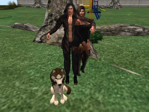 Web 5baac235289dd23720000001