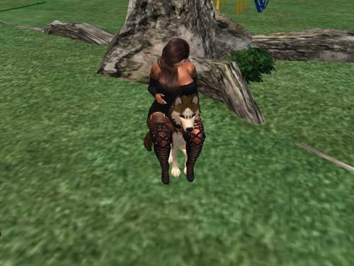 Web 5baac37b73ed17511f000001