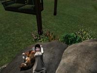 Small 5c8df092289dd25c41000001