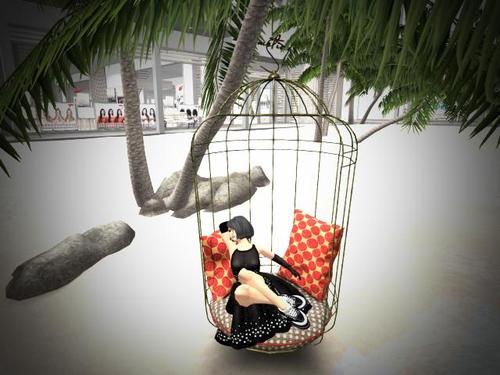 Web 5c5d35cad774f854cd000001