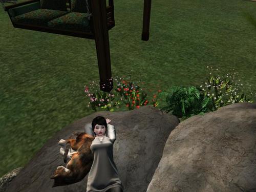 Web 5c8df092289dd25c41000001