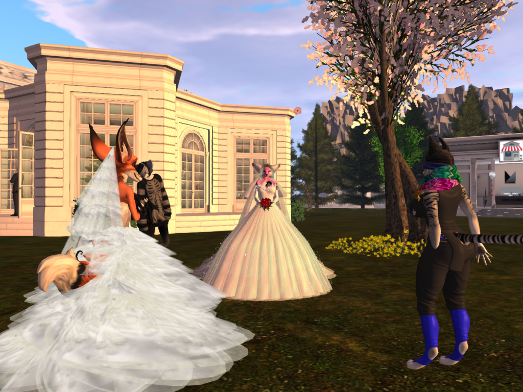 Original 5e007e0973ed170ca0905d61