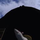 Thumb 5e06e447289dd240389c7b1c