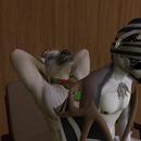 Thumb 5e085a9e289dd23c2b977e46