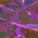 Thumb 5e0f2aa2d774f87d8c13dcfb