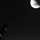 Thumb 65f28162ad52d9079faf2f30