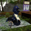 Thumb 65f3b2d398e6786b54310195