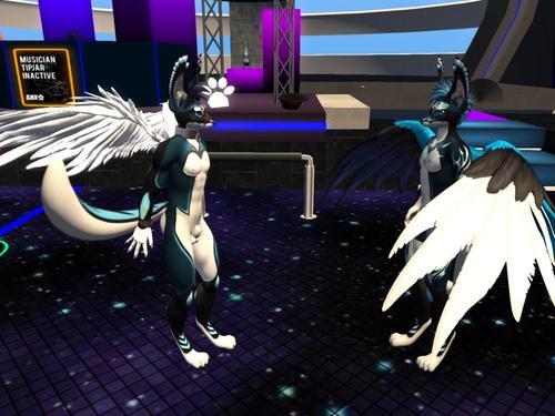 Web 5dfe2a09289dd267e4903354