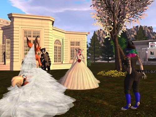 Web 5e007e0973ed170ca0905d61