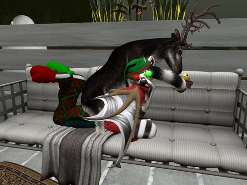 Web 5e00b2e1289dd2691d977e46