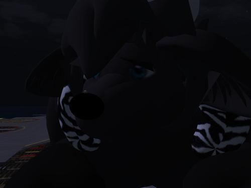 Web 5e06d75d289dd263ac903354