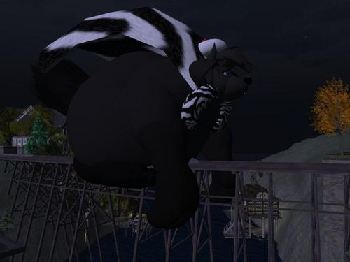 Web 5e06d7ae289dd265ca9c7b1c