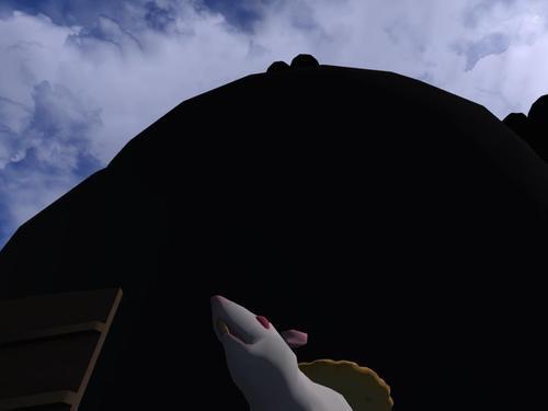 Web 5e06e447289dd240389c7b1c