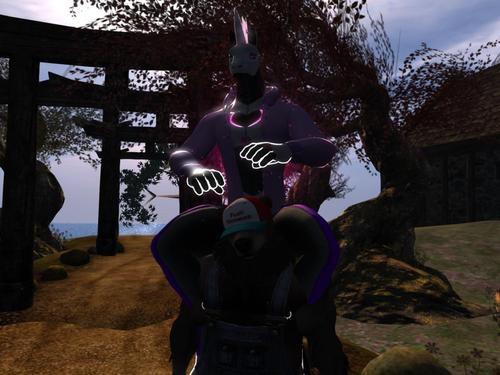 Web 5e144689289dd2206b903354