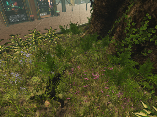 Web 65fb3427257e1e1da9406c5e