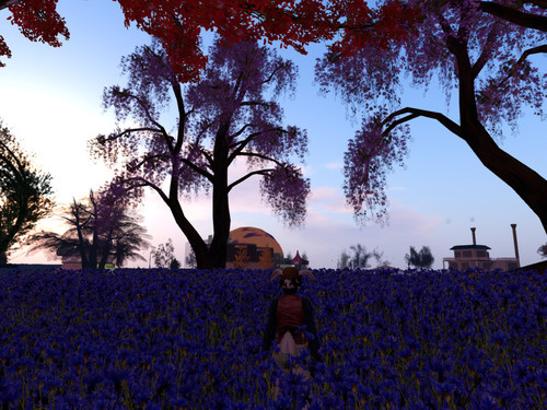 Web 65fb4c88f55cbd0204d0444a