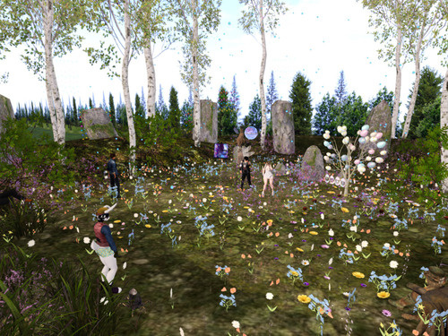 Web 65fb5137e9d19b3f0310996f