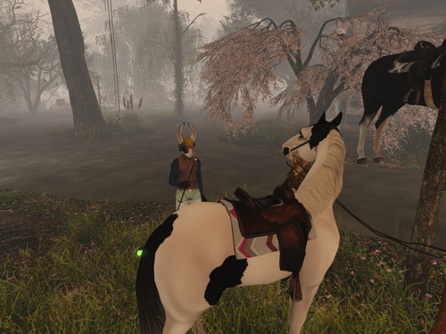 Web 65fb7dd1aec80b17d03f05d9