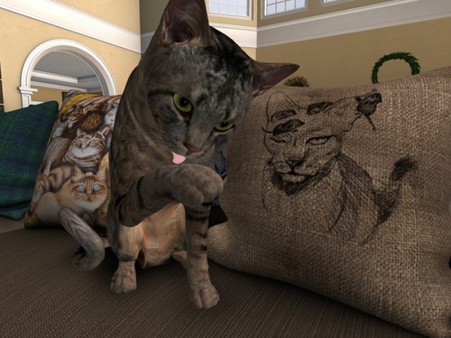 Web 57f169a2e85cda541c000001