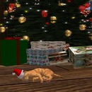 Thumb 50d6252263e7753fc3000001