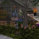 Thumb 5aff895dd9859c4b22000001