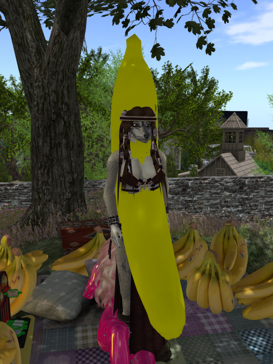 Original 628068727b8dd74cc4656877