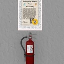 Thumb 5587698e8da5727f76000001