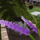 Thumb 5aea5b54d774f83638000001