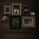 Thumb 5d79c03573ed1702e5000001