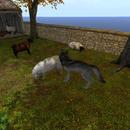 Thumb 5dbce90bd9859c697c000001