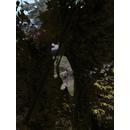 Thumb 5f124b74289dd259fa33d1c9