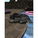 Thumb 5f5ecb26289dd26fe78c6a79